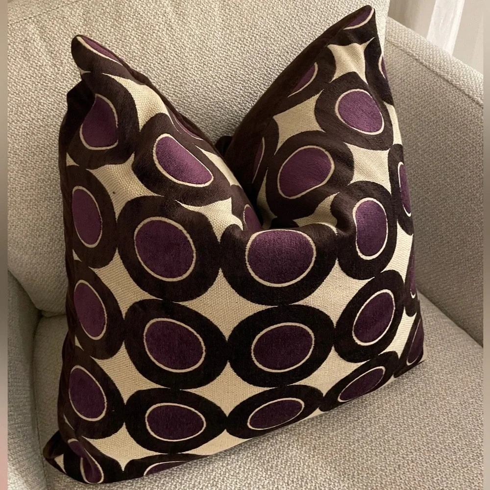 Crate&Barrel Pillow Case (with Pillow)
